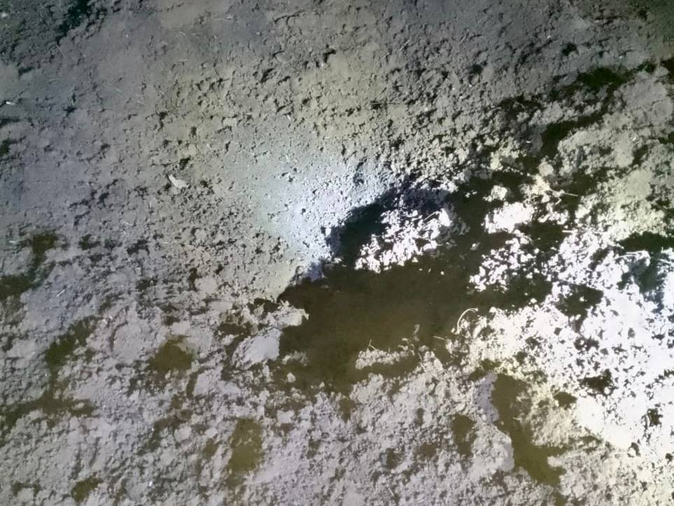 Изображение из галереи