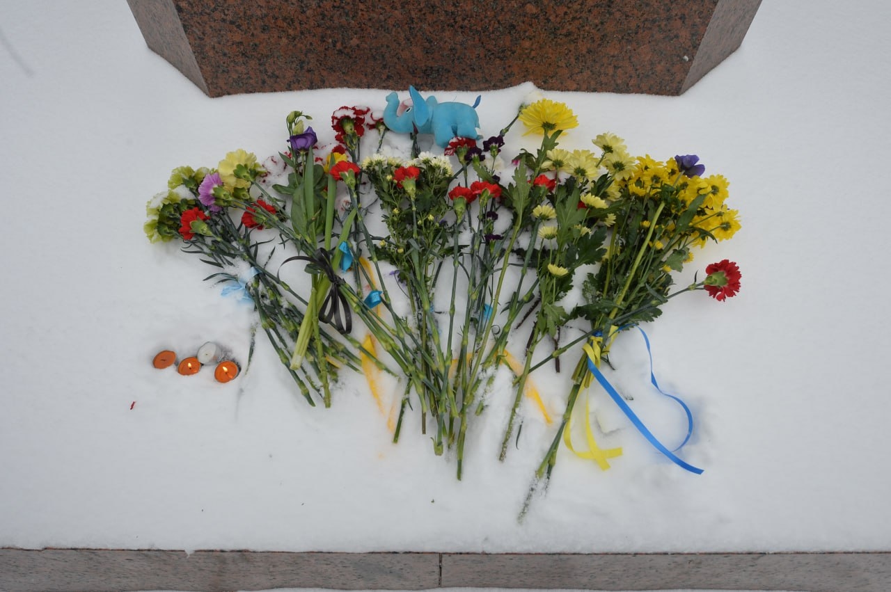 Изображение из галереи