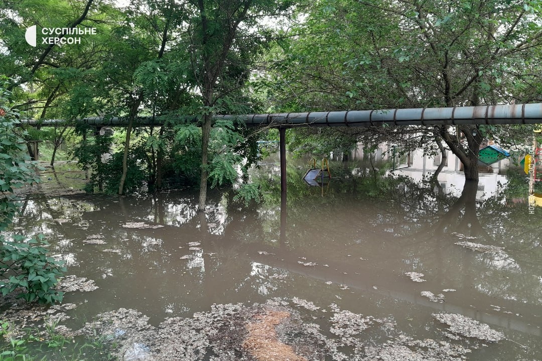 Миниатюра 5