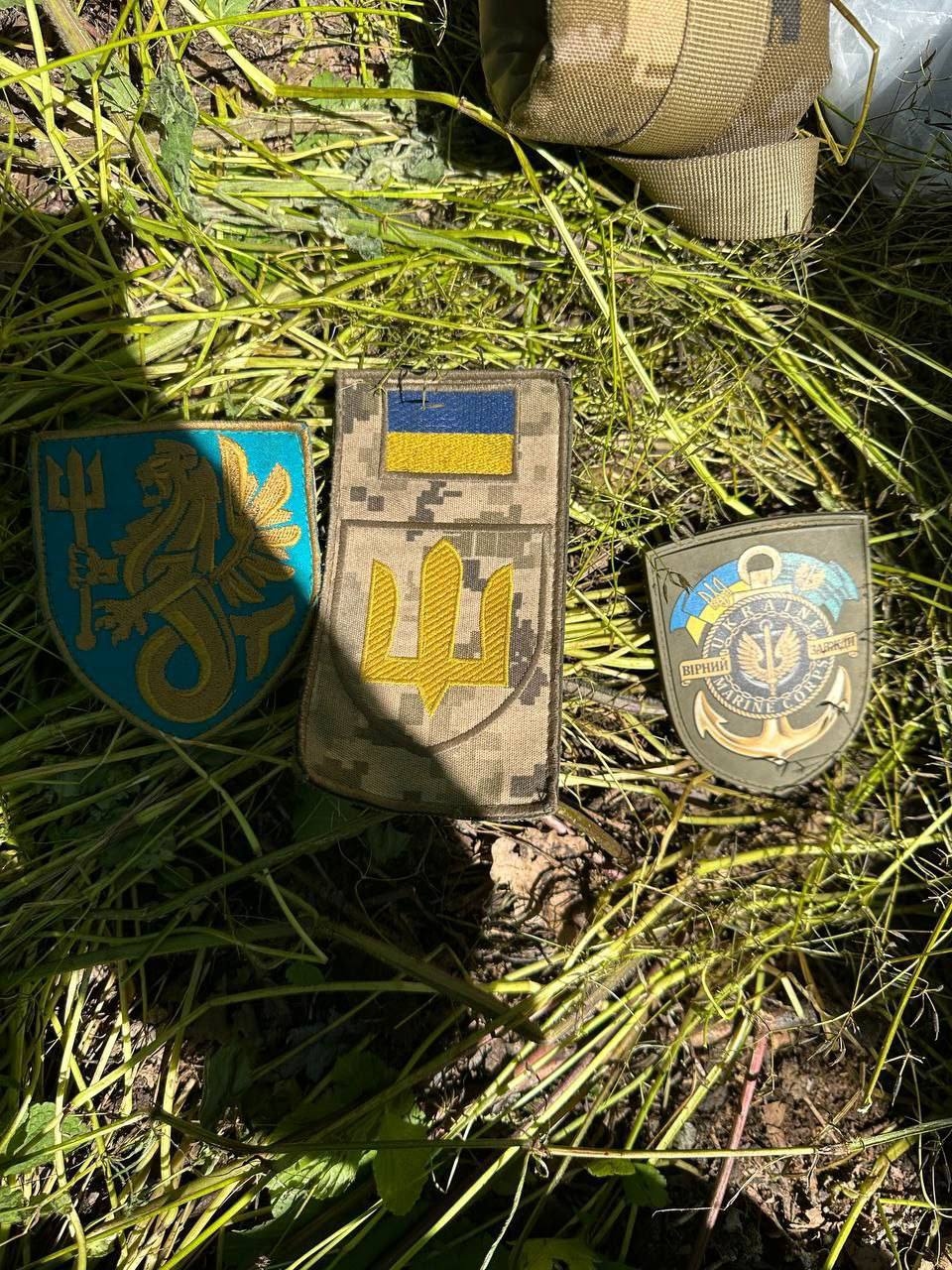 Миниатюра 3