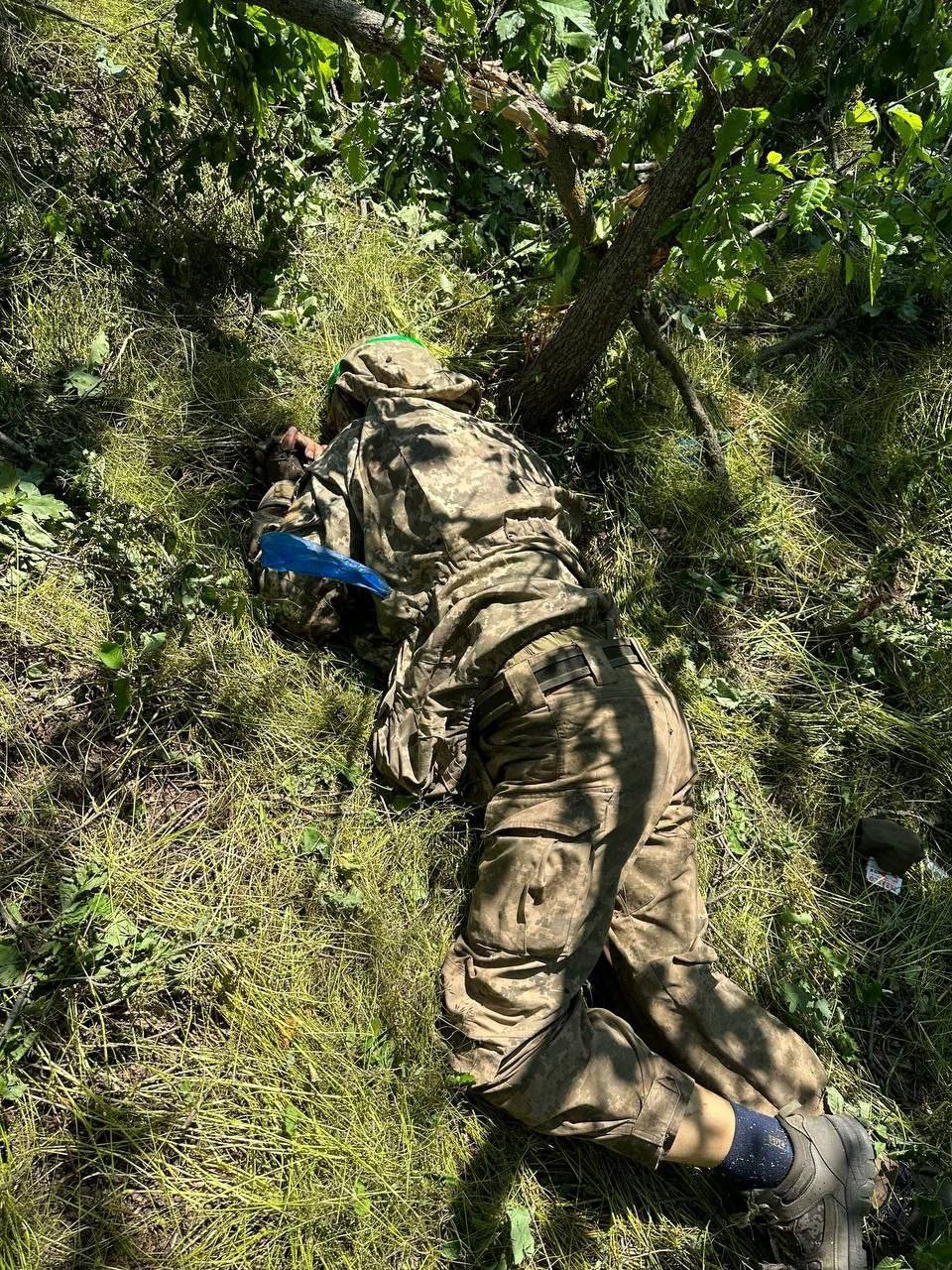 Миниатюра 4