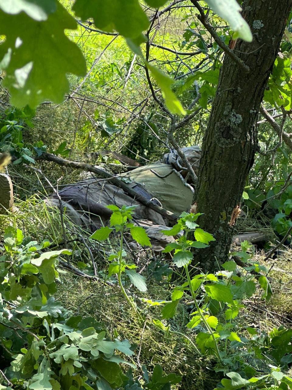 Миниатюра 6