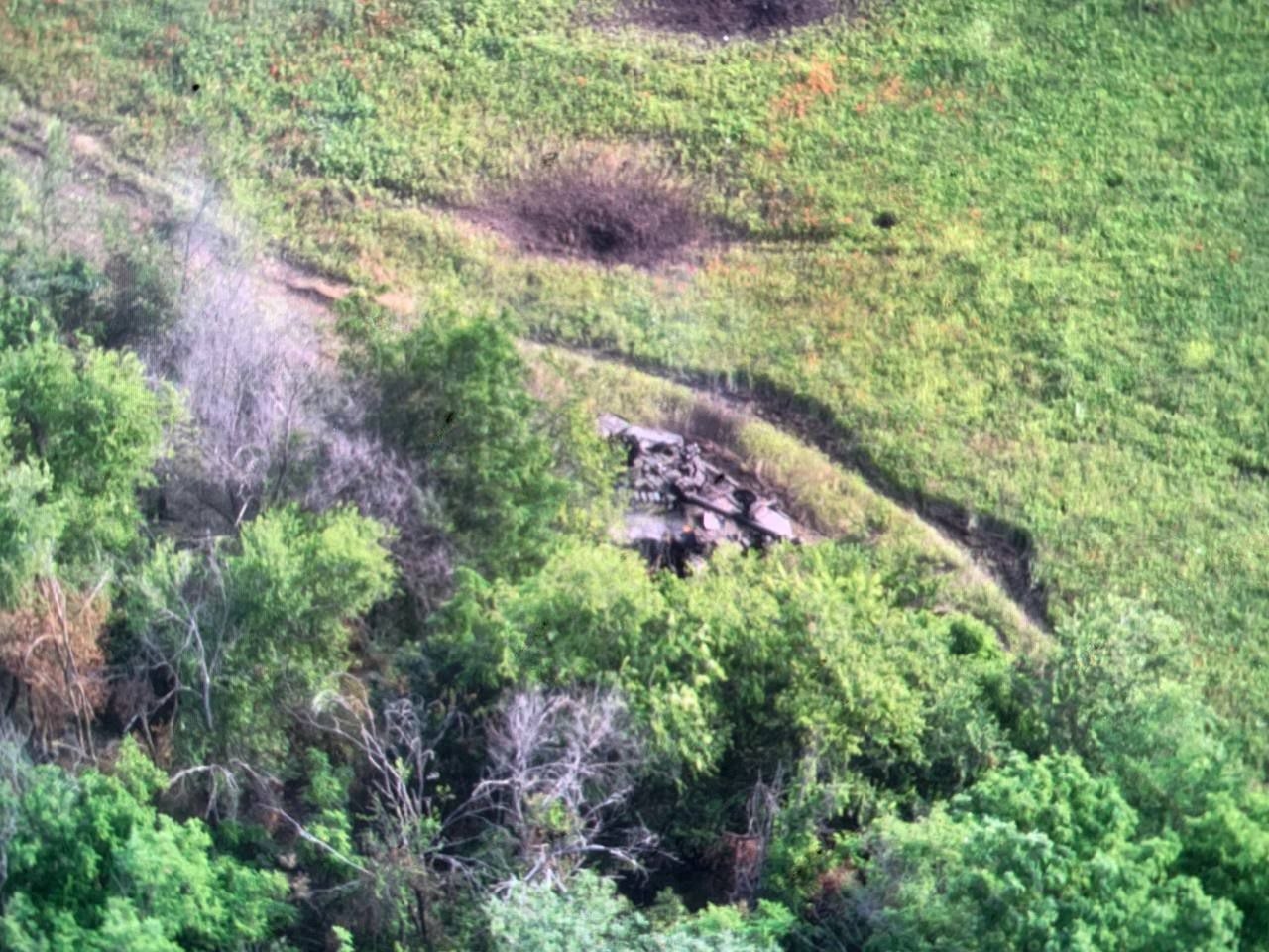 Изображение из галереи