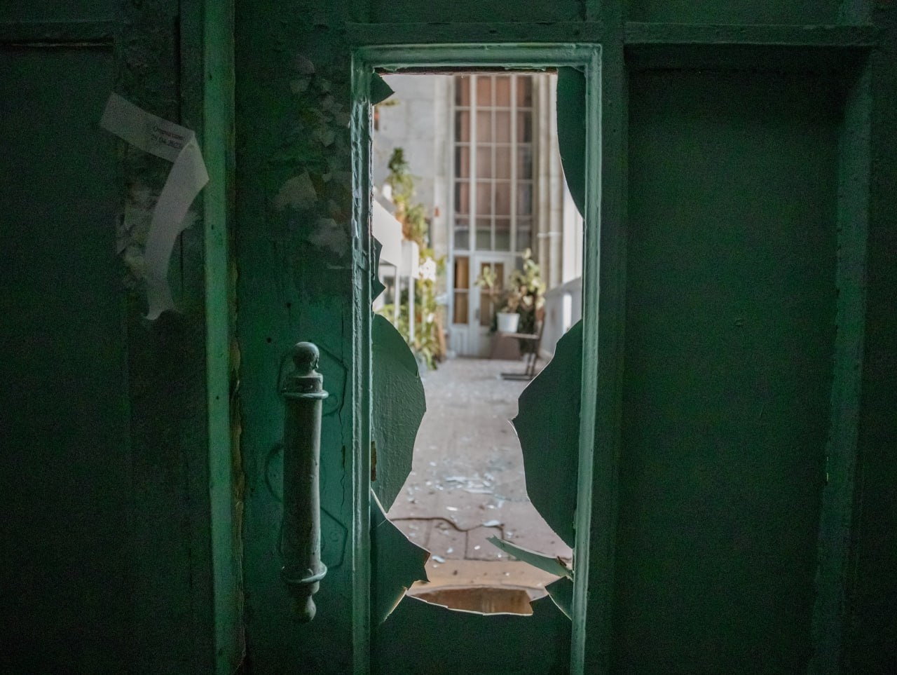 Миниатюра 4