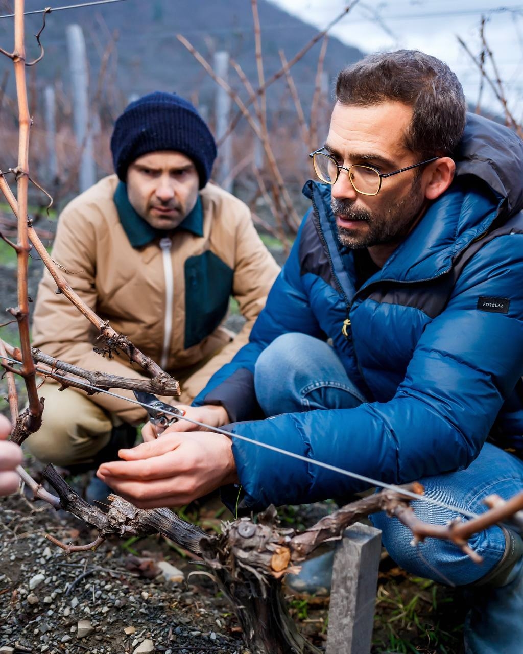 Давид Перне