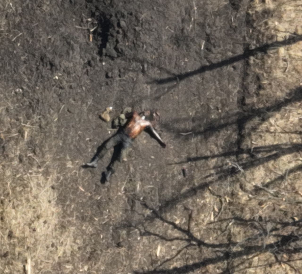 Миниатюра 6