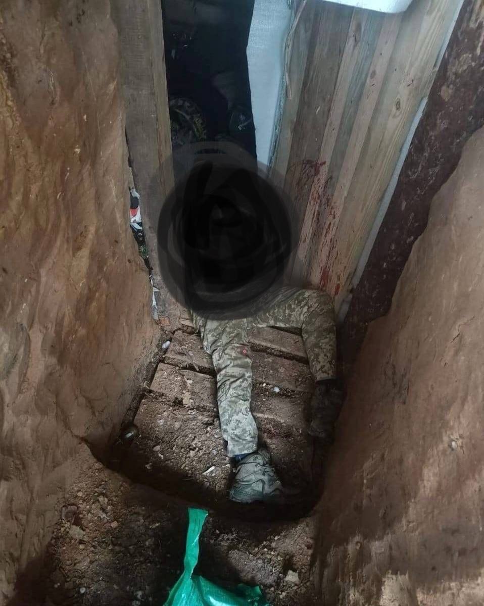 Изображение из галереи