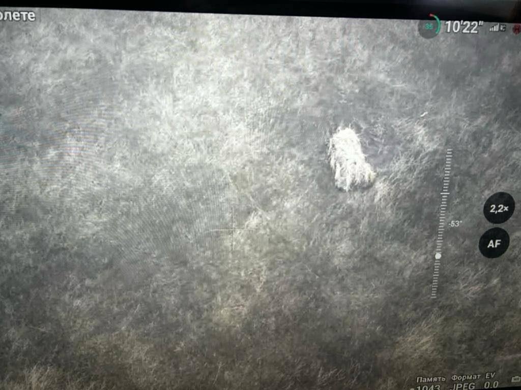 Миниатюра 4