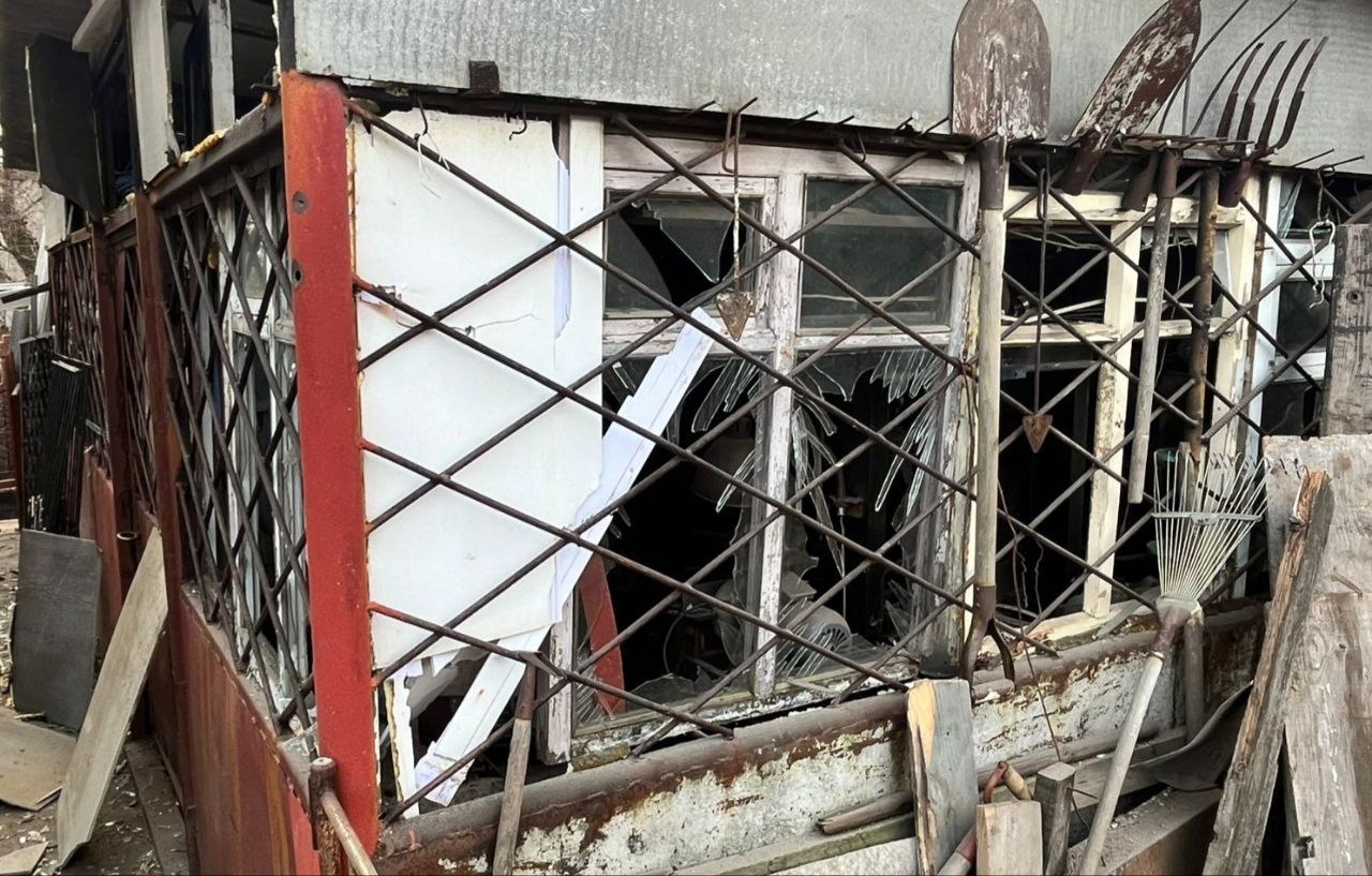 Миниатюра 4