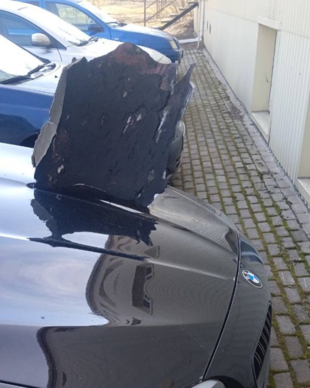 Изображение из галереи