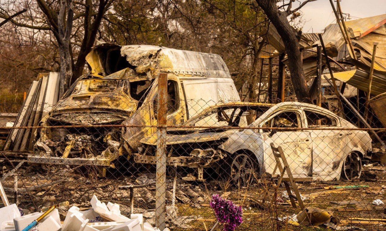 Миниатюра 4