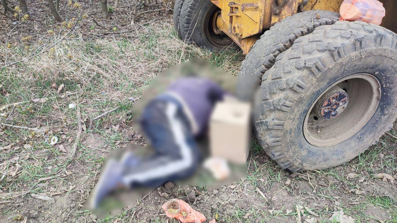 Миниатюра 2