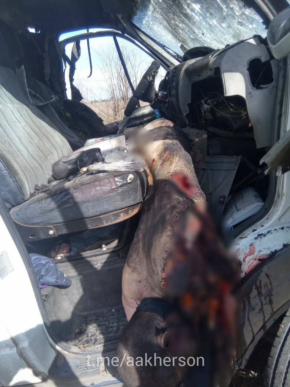 Изображение из галереи