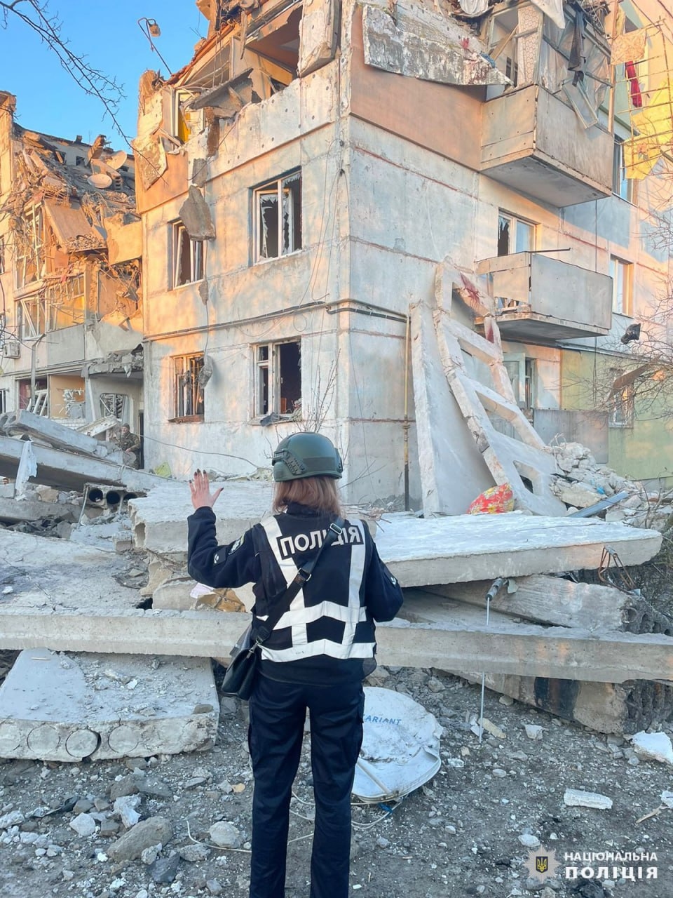 Миниатюра 6