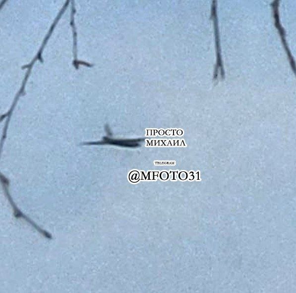 Изображение из галереи