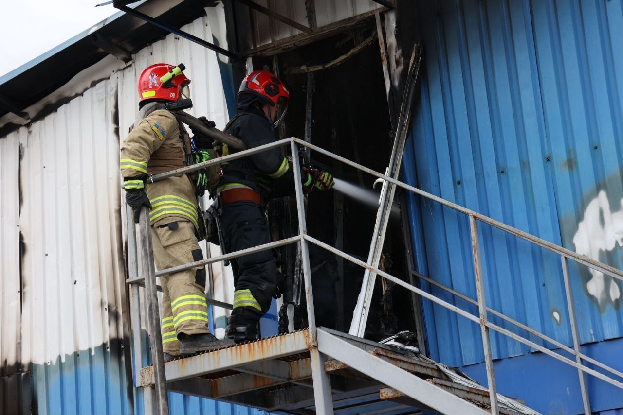 Миниатюра 6