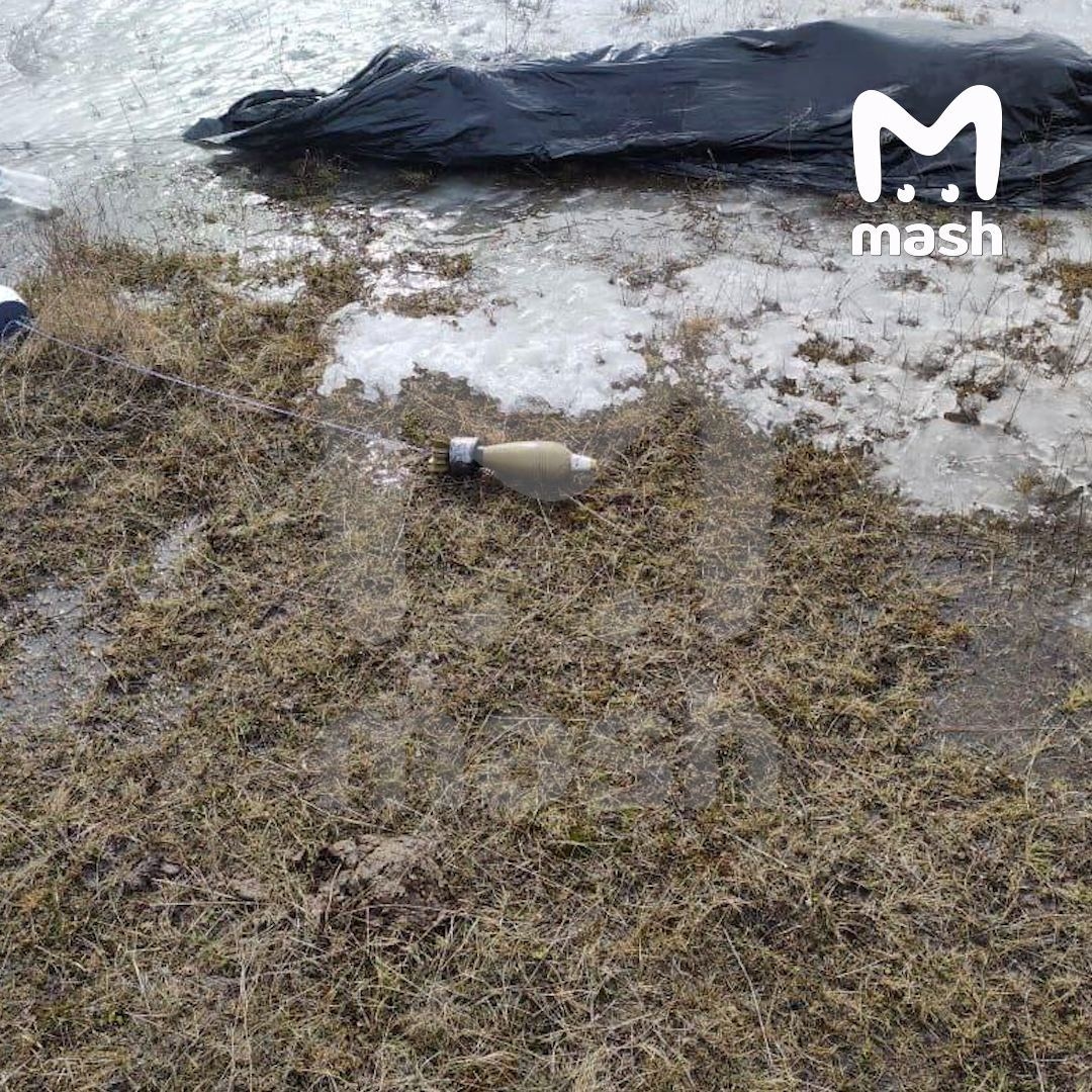 Изображение из галереи