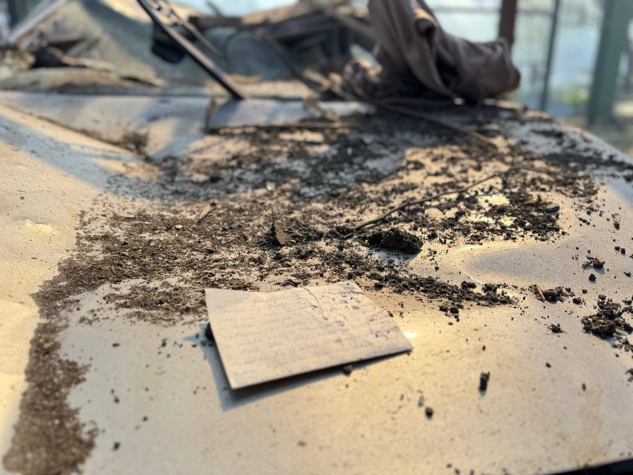 Миниатюра 2