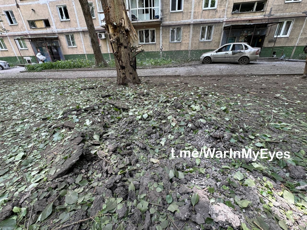 Миниатюра 5