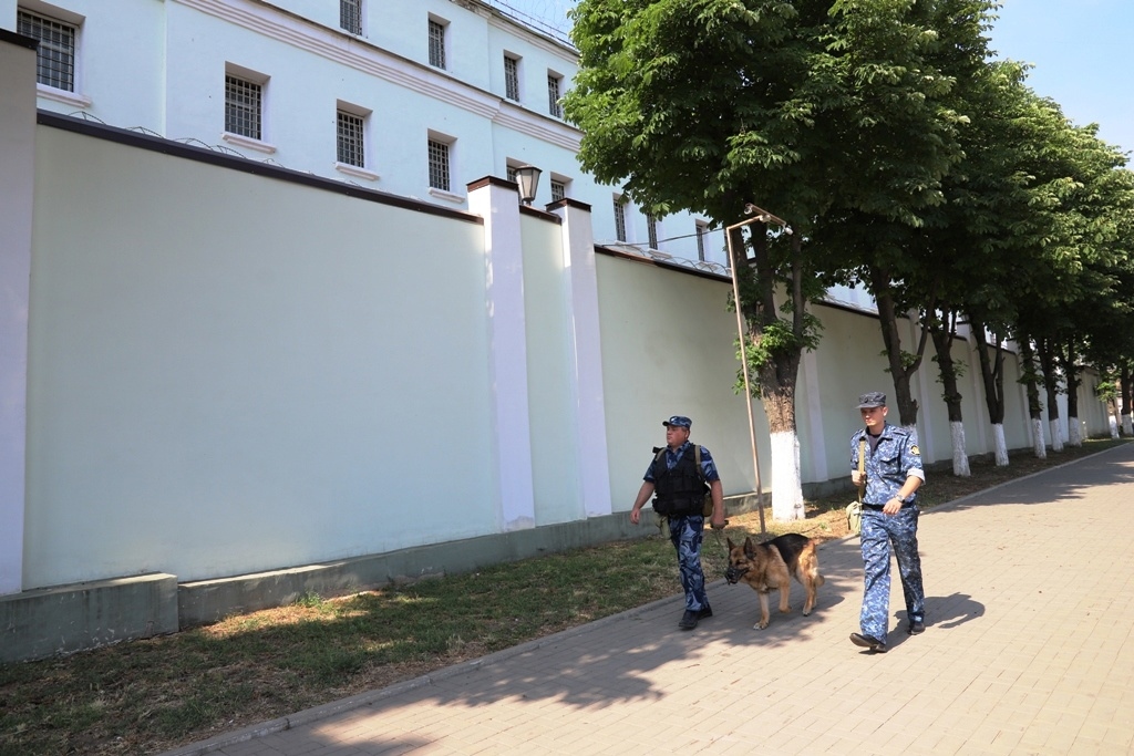 Миниатюра 8