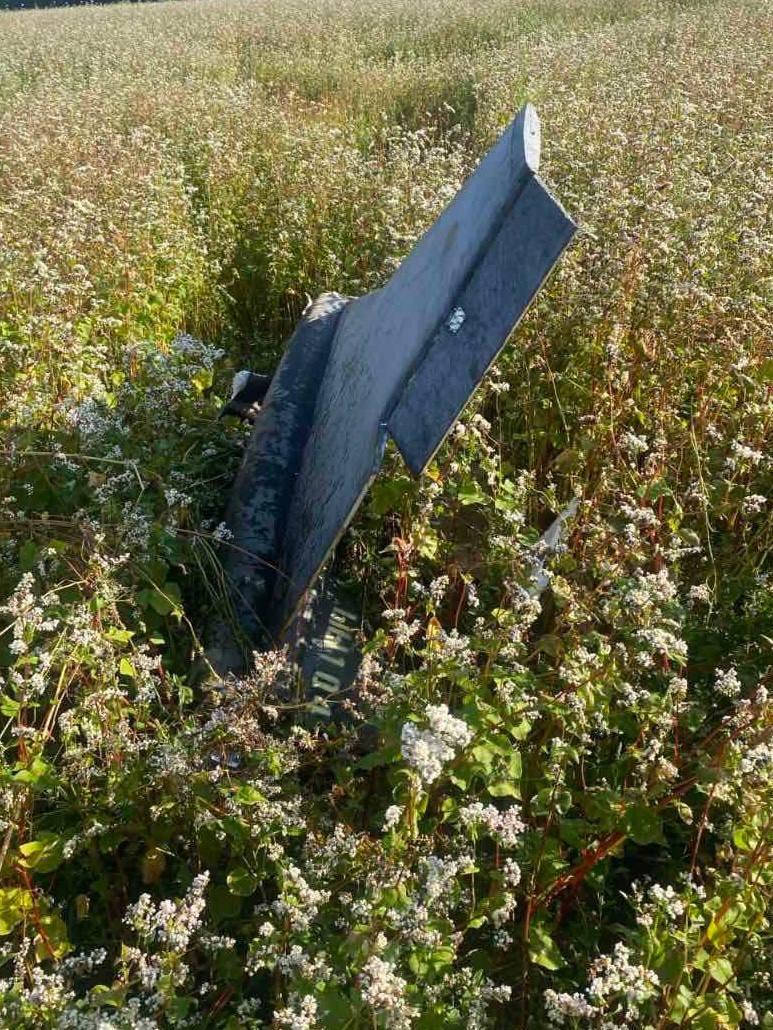 Обломки беспилотников типа «Гербера»