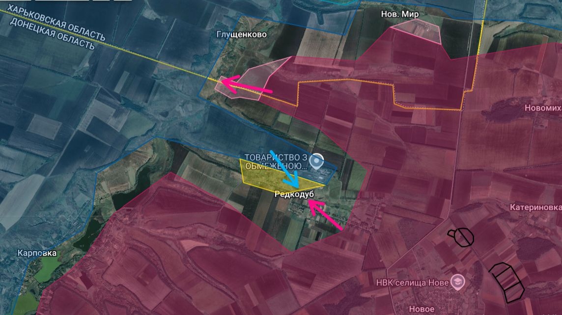 Ситуация в районе Редкодуба на лиманском направлении по версии Анатолия Радова