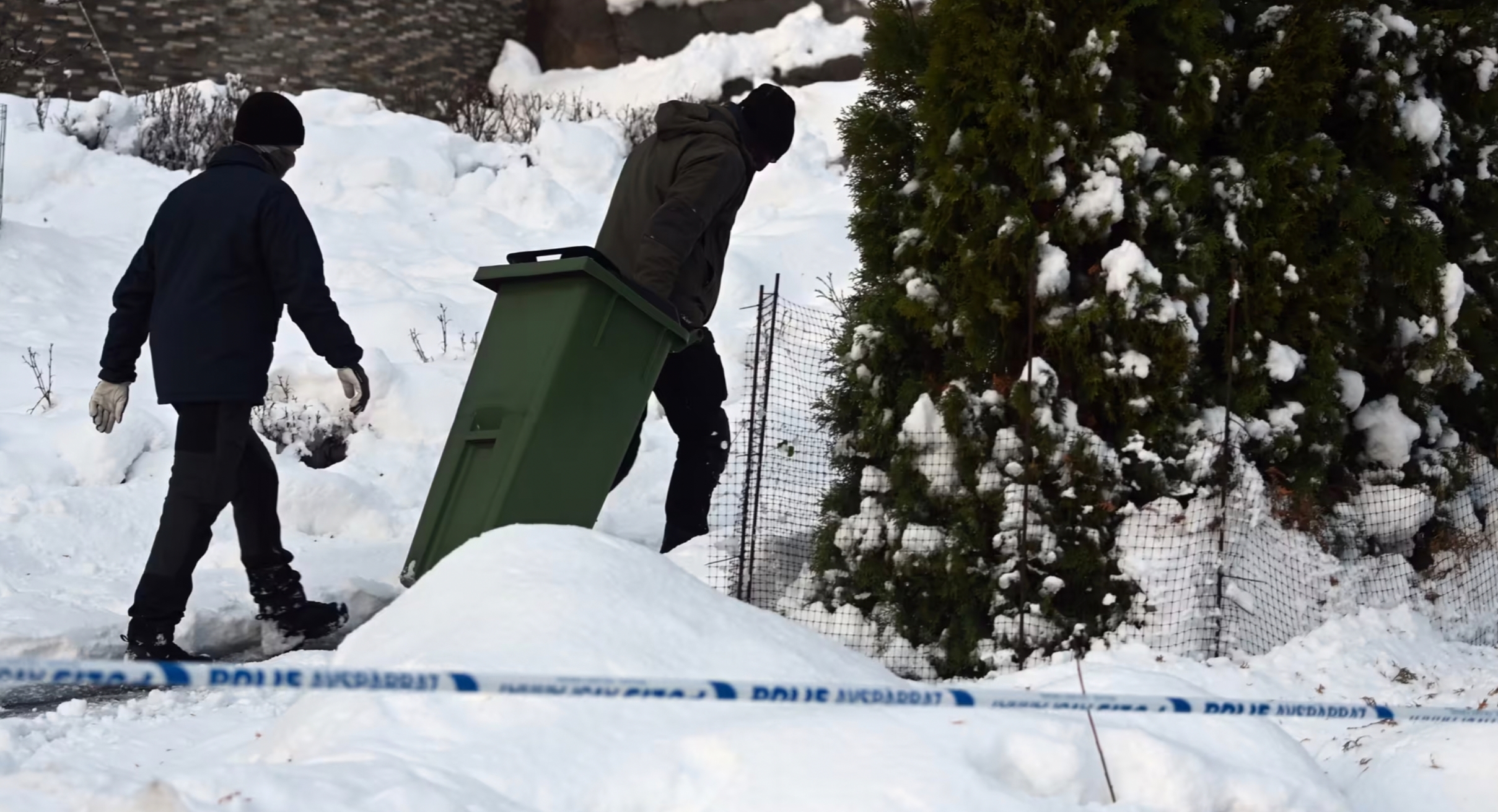 Изображение из галереи