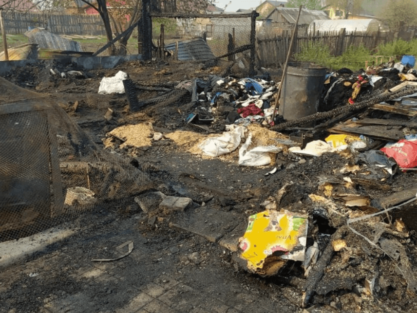 Иллюстрация к материалу