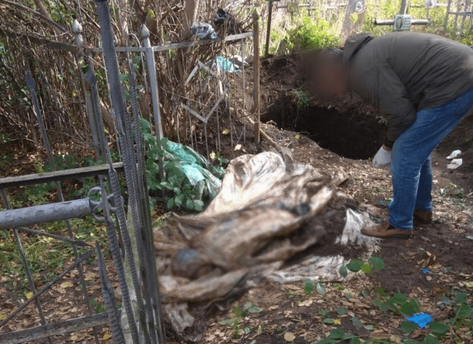 Иллюстрация к материалу