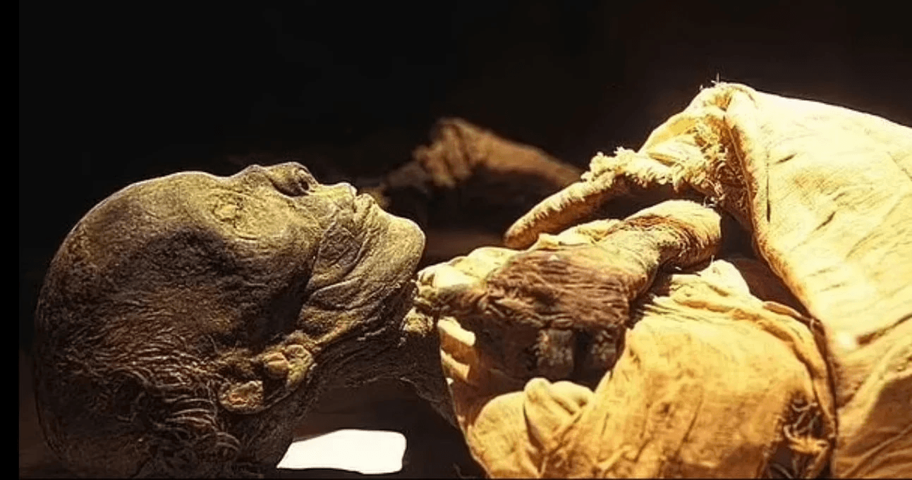 Мумия Тутмоса II / фото: Egypt museum