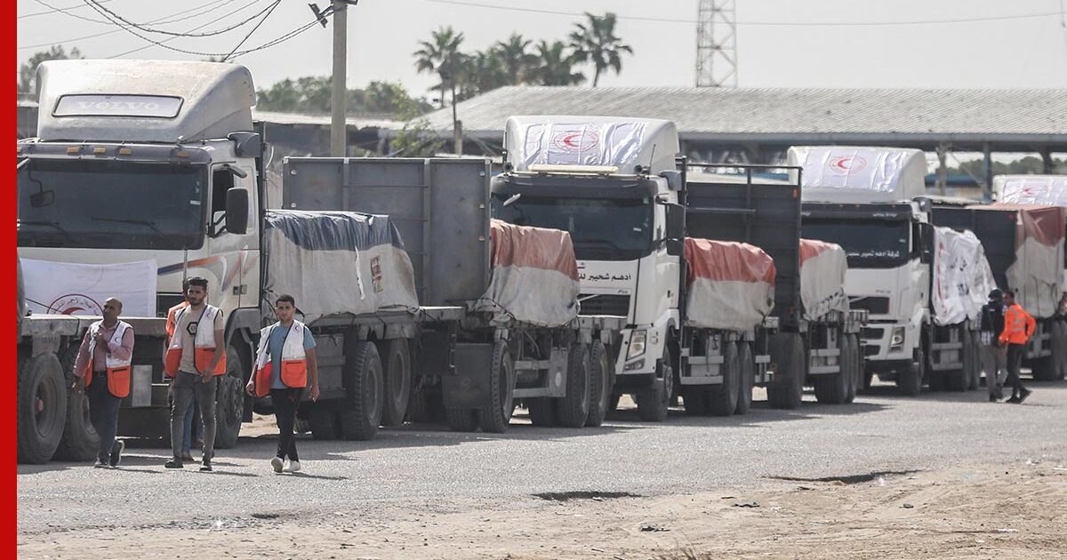 Фото: profile.ru