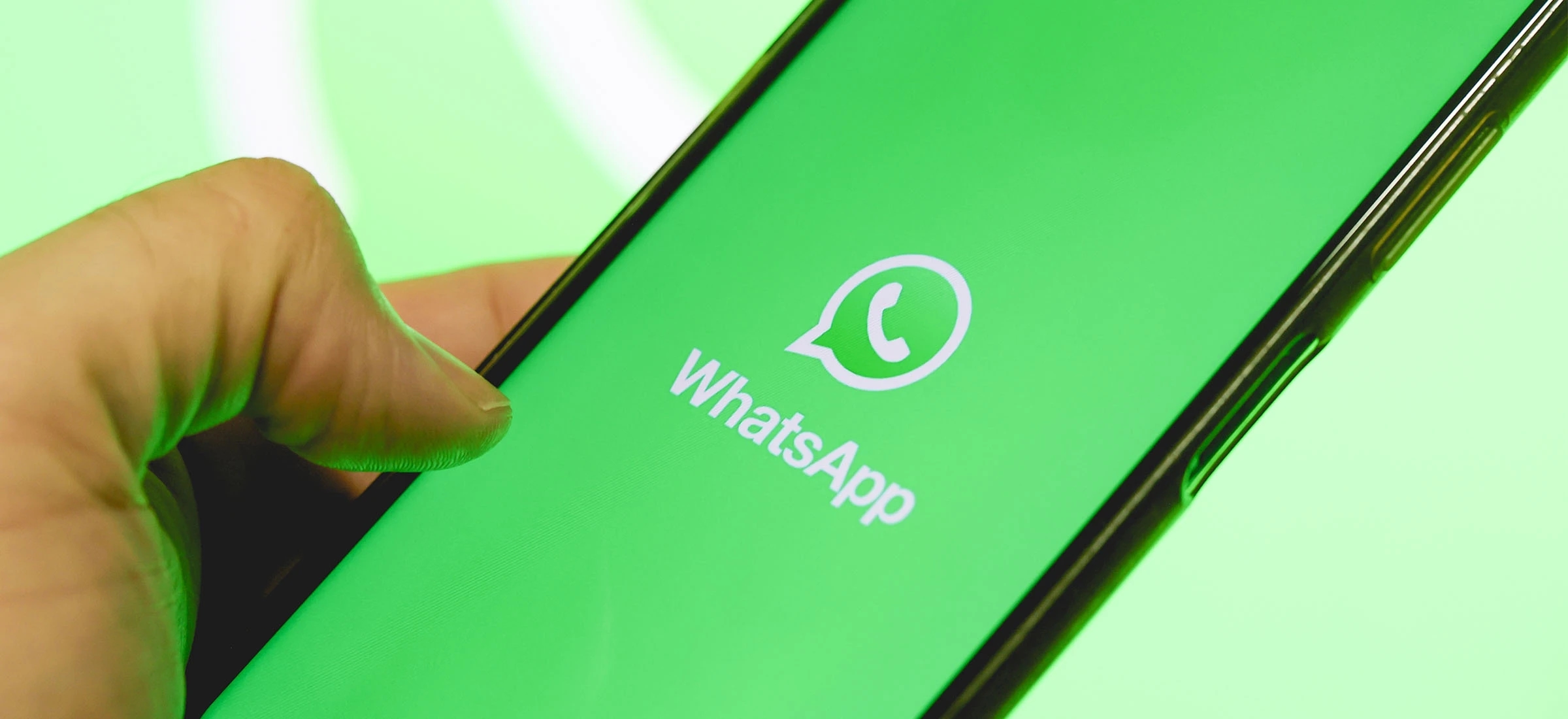 Фото: Spider’s Web