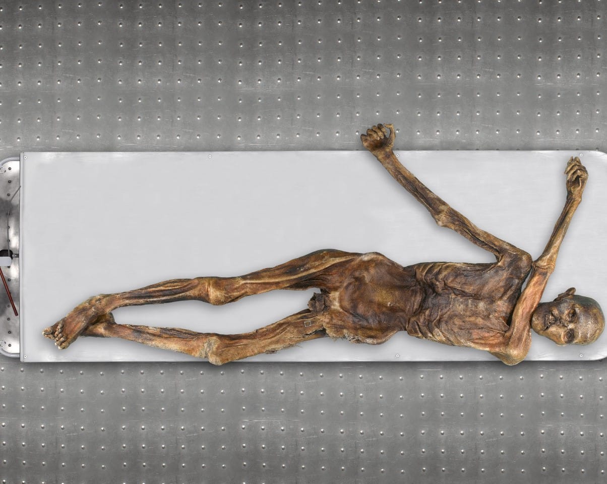 Ученые заново прочли геном Этци — тирольского ледяного человека. Он оказался темнокожим, лысым и склонным к ожирению