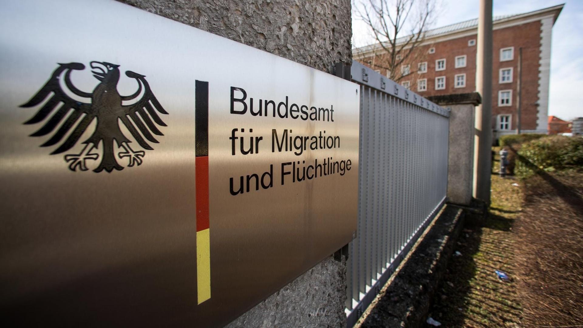 С начала войны Германия удовлетворила меньше 10% прошений об убежище, поданных мужчинами из России 