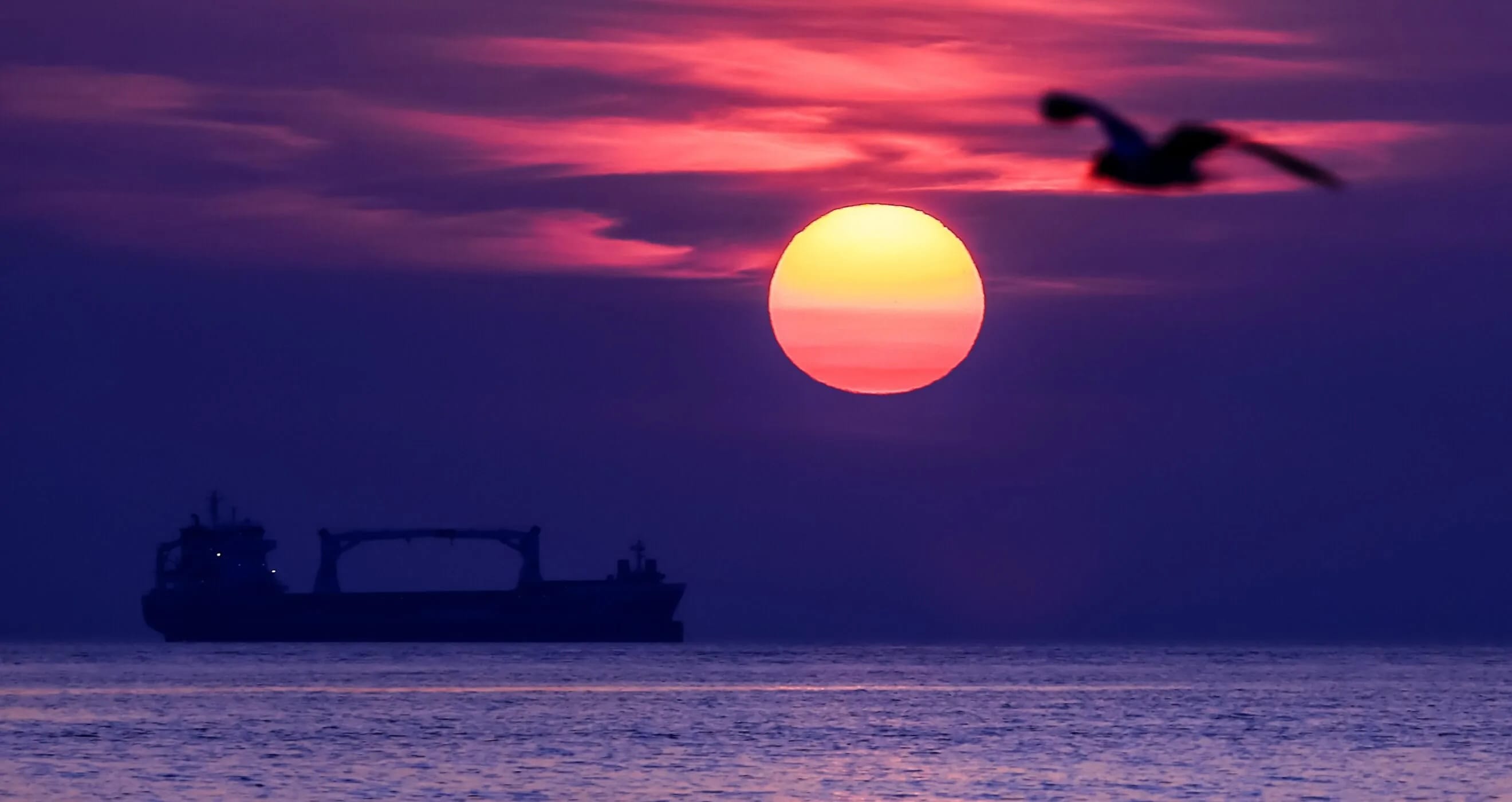 Американские военные захватили шестой танкер «теневого флота» в зоне ответственности Южного командования США