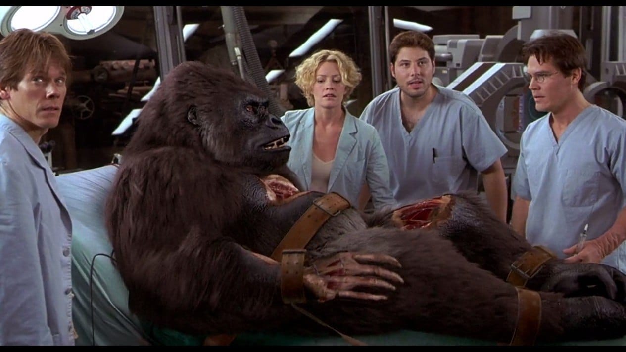 Суд США признал статус шимпанзе как юридического лица